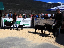 2019_ausstellung polling_296